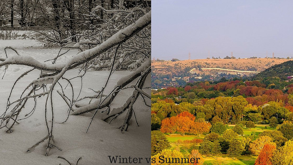 Winter vs Summer nutritional shifts